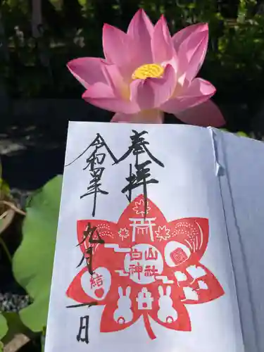 白山神社の御朱印
