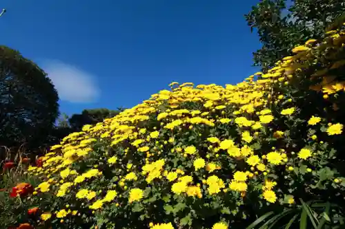 豊景神社の庭園