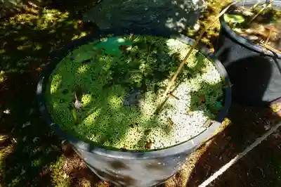 勝林寺のその他建物