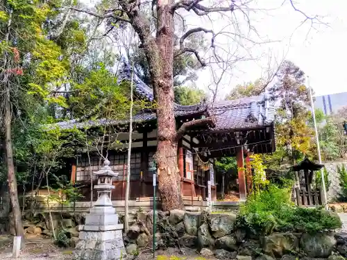 蝮ヶ池八幡宮の本殿・本堂