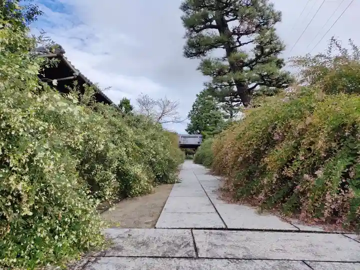 圓光禅寺(円光寺)(愛知県)