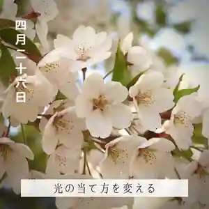 壽徳寺 じゅとくじの体験その他(2022年04月26日(火) 10時10分14秒投稿)