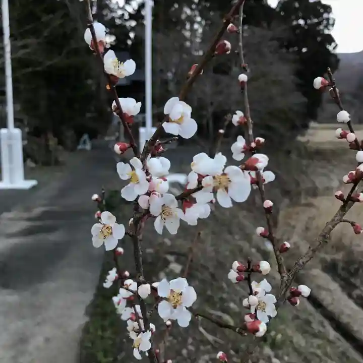 高司神社〜むすびの神の鎮まる社〜の自然