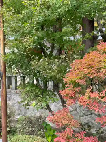 穂高神社本宮(長野県)