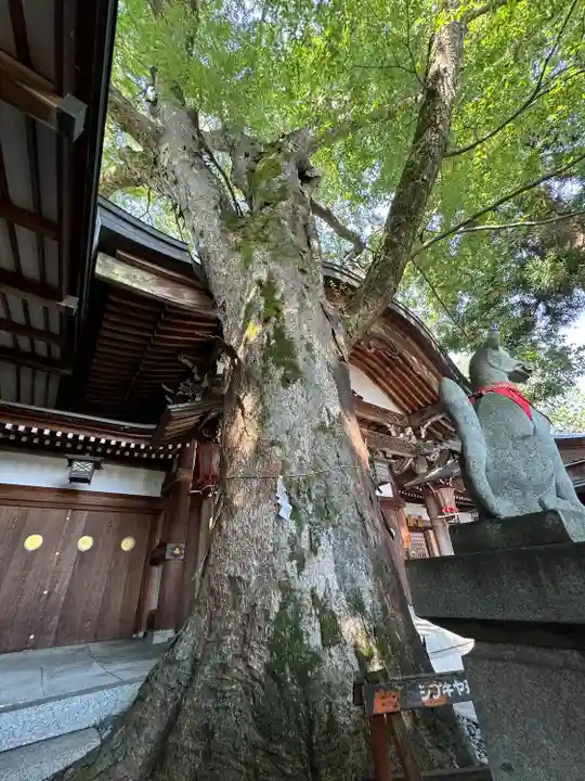 冨士山稲荷神社(長野県)