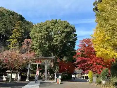 高麗神社(埼玉県)