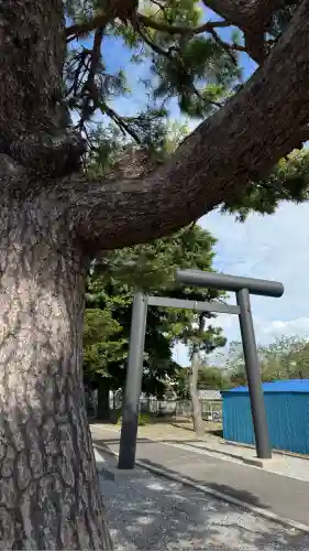 上磯八幡宮(北海道)