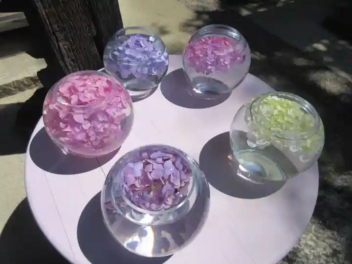 般若寺 ❁コスモス寺❁(奈良県)