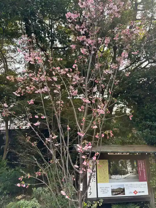 東京大神宮(東京都)