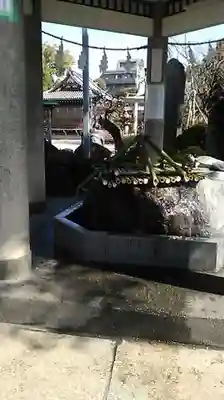 亀戸天神社の手水舎