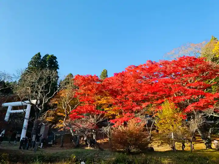 土津神社|こどもと出世の神さまの景色