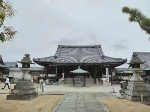 金倉寺の本殿・本堂