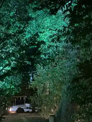 川越氷川神社(埼玉県)