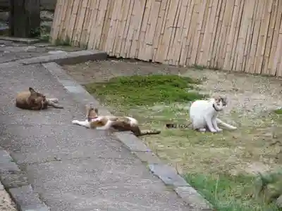 智恩寺(京都府)