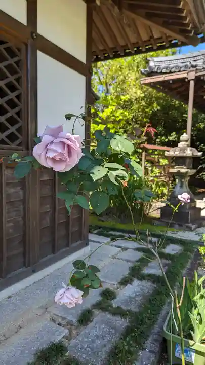 香雪院(京都府)