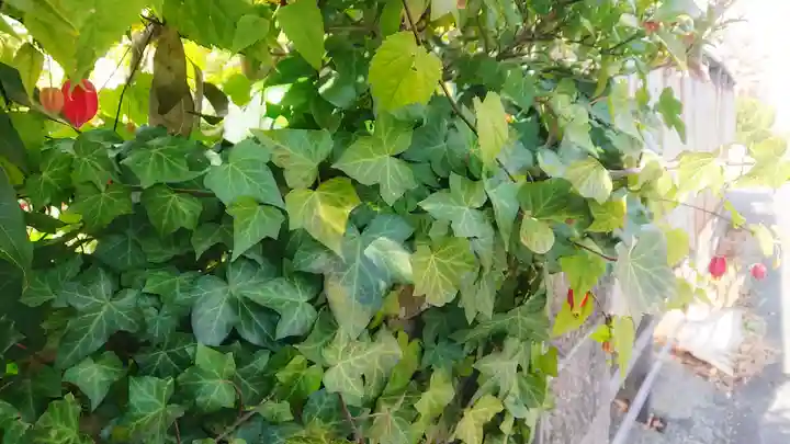 尾張大國霊神社(国府宮)の自然
