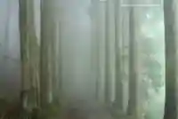 三峯神社(埼玉県)
