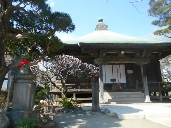 極楽寺(霊鷲山感應院極楽律寺)の本殿・本堂