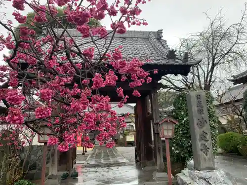 妙建寺の山門