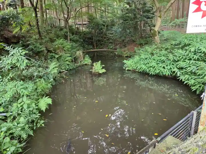 湯谷神社(滋賀県)