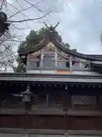 若宮八幡大神宮の本殿・本堂