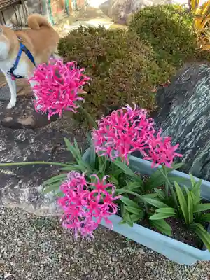 宗栄寺(愛知県)