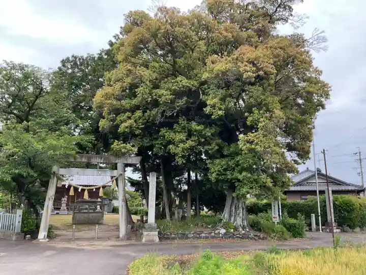 天道寺(愛知県)