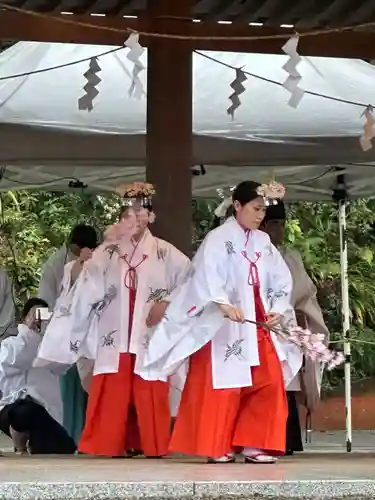 高麗神社の神楽