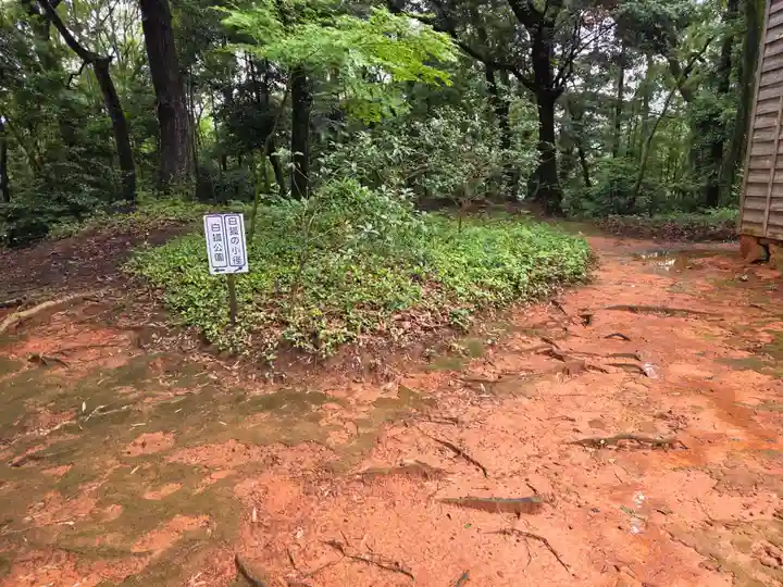 白狐稲荷神社(山口県)