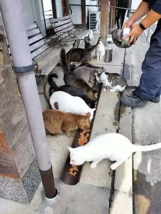 御誕生寺(猫寺)(福井県)