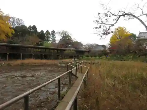 本土寺の庭園