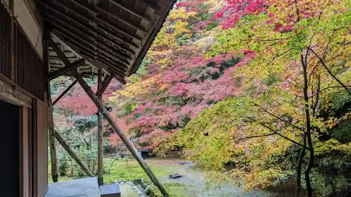実相院門跡(京都府)