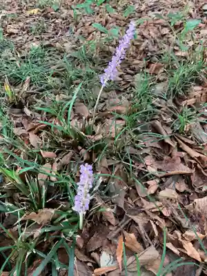 胸形神社(栃木県)