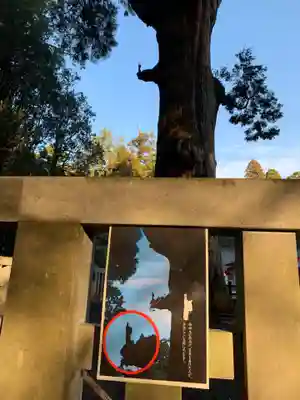 霧島神宮のその他建物