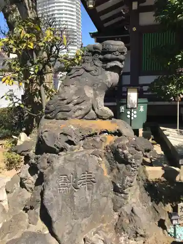 高木神社の狛犬