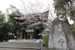 園城寺（三井寺）(滋賀県)