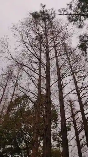 阿部野神社の自然