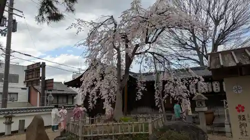 縣神社の自然