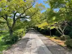 養源院の建物その他