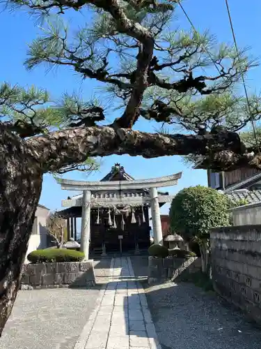 都久生須麻神社(滋賀県)
