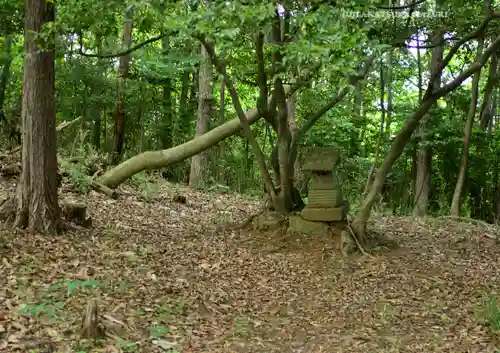 賀茂別雷神社(栃木県)