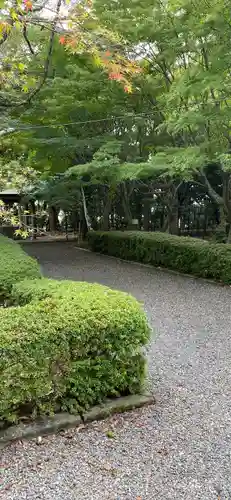 縣居神社の自然
