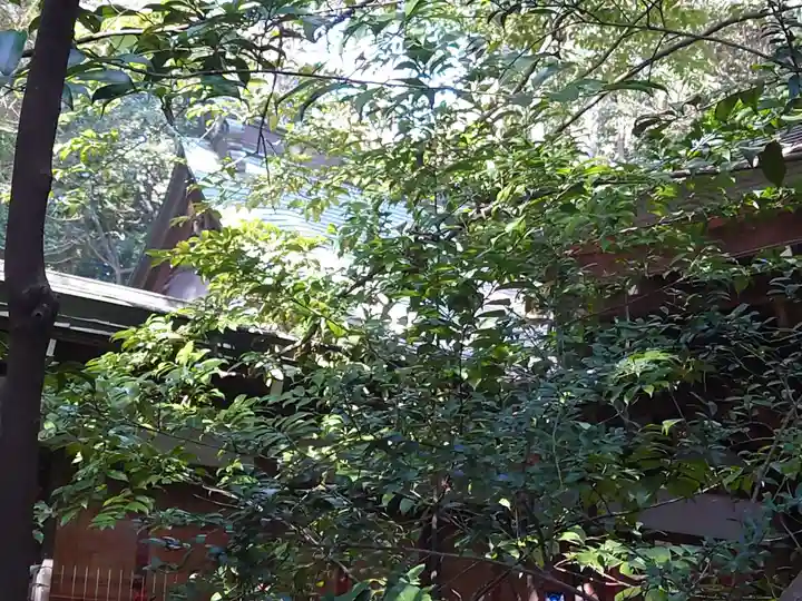 駒木諏訪神社のその他建物