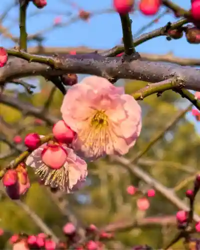 伊勢の国 四天王寺(三重県)