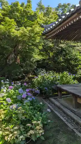 法金剛院(京都府)