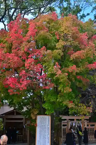 伊勢山皇大神宮(神奈川県)
