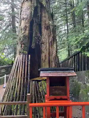 日光東照宮奥宮拝殿(栃木県)