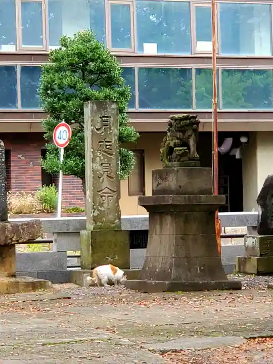 阿邪訶根神社の動物