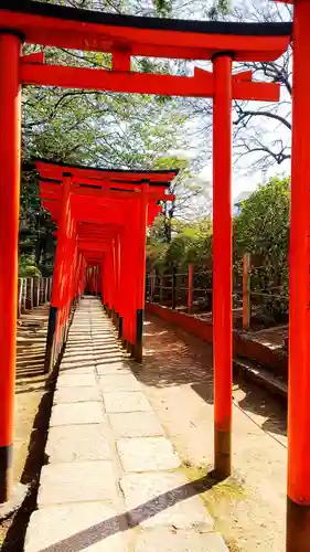 根津神社の鳥居