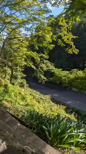 善峯寺(京都府)